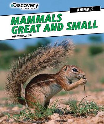 Cover for Meredith Costain · Mammals Great and Small (Hardcover Book) (2015)