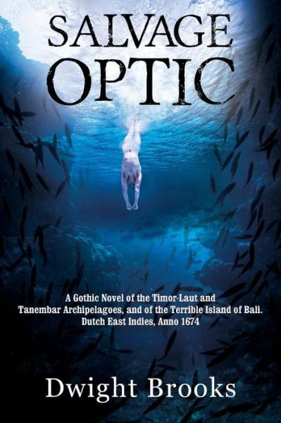Salvage Optic - Dwight Brooks - Bøker - Outskirts Press - 9781478791409 - 2. september 2017