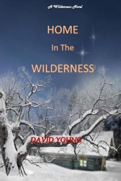 Cover for David Young · Home in The Wilderness (Paperback Book) (2016)