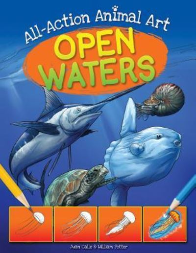 Cover for William C Potter · Open Waters (Paperback Book) (2018)