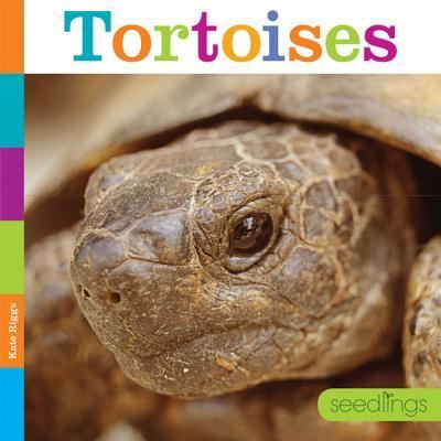 Cover for Kate Riggs · Tortoises (Hardcover Book) (2016)