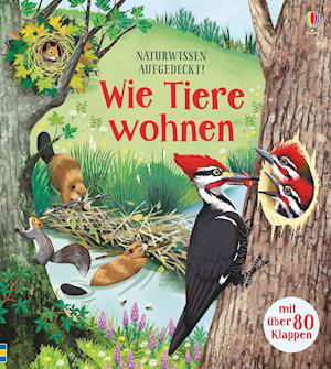 Wie Tiere wohnen - Bone - Books -  - 9781789411409 - 