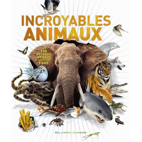 Cover for Derek Harvey · Incroyables animaux (Hardcover Book) (2013)