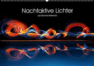 Cover for Heilmann · Nachtaktive Lichter (Wandkalen (Book)