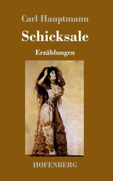 Cover for Hauptmann · Schicksale (Book) (2017)