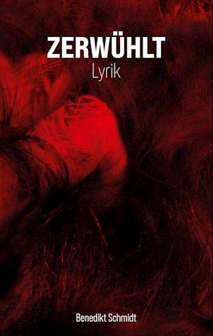 Cover for Benedikt Schmidt · Zerwühlt (Book) (2023)