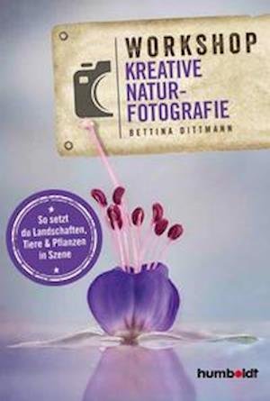Cover for Bettina Dittmann · Workshop Kreative Naturfotografie (Paperback Book) (2021)