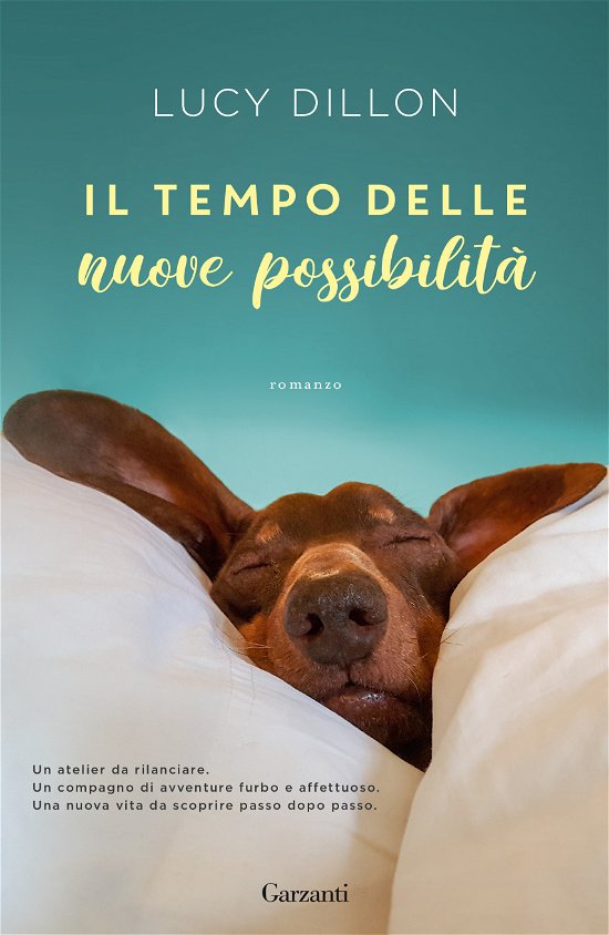 Cover for Lucy Dillon · Il Tempo Delle Nuove Possibilita (DVD)