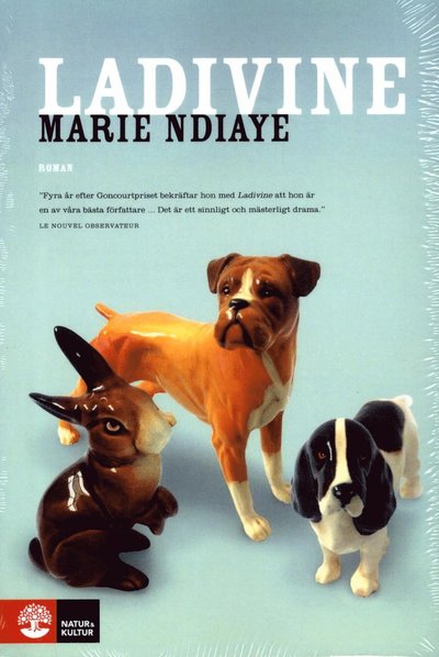 Cover for Marie NDiaye · Ladivine (Buch) (2015)