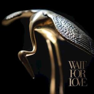 Wait for Love - Pianos Become the Teeth - Music - EPITAPH - 0045778754410 - February 16, 2018