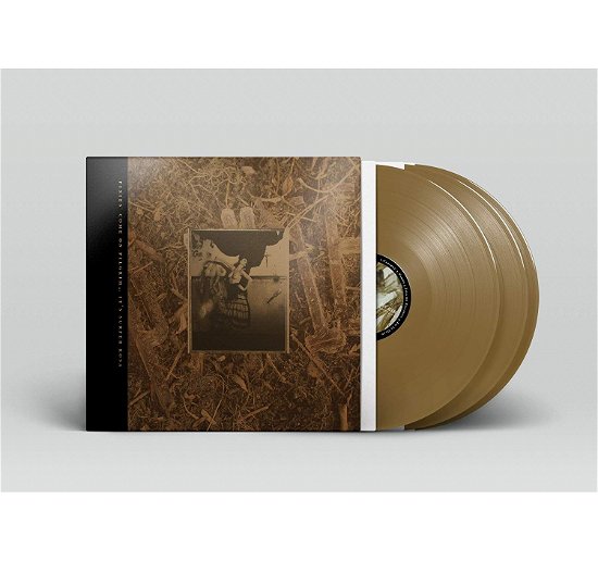 Cover for Pixies · C'mon Pilgrim ... It's Surfer Rosa (LP) [Coloured edition] (2018)