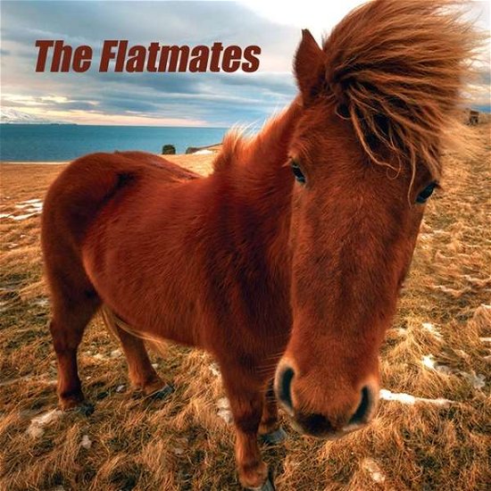 The Flatmates - Flatmates - Music - HHBTM - 0606822036410 - March 6, 2020
