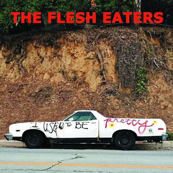 I Used To Be Pretty - Flesh Eaters - Musique - YEP ROC - 0634457264410 - 18 janvier 2019