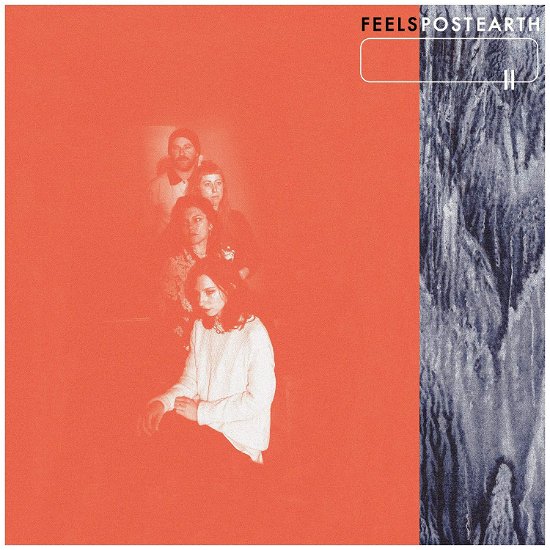 Cover for Feels · Post Earth (No Amazon Color Vinyl) (LP) [Coloured edition] (2019)