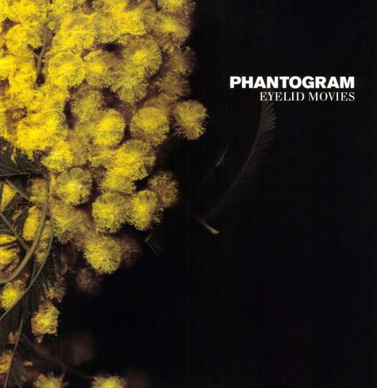 Cover for Phantogram · Eyelid Movies (LP) (2015)