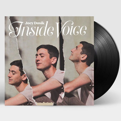 Cover for Joey Dosik · Inside Voice (LP) [Standard edition] (2018)