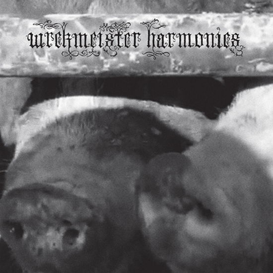 Cover for Wrekmeister Harmonies · Flowers In The Spring (LP) (2025)