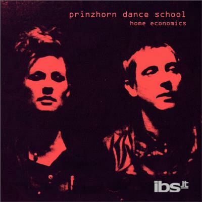 Cover for Prinzhorn Dance School · Home Economics (LP) (2015)