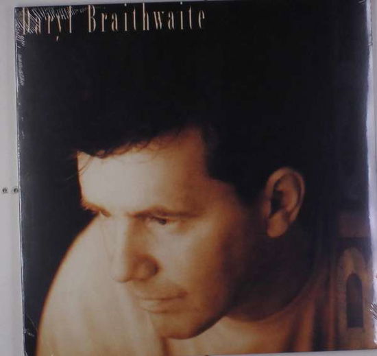 Rise - Daryl Braithwaite - Music - SONY MUSIC - 0889853390410 - October 27, 2017