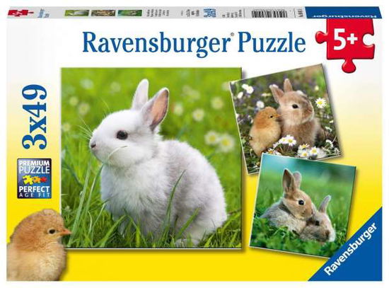 Niedliche Häschen (Kinderpuzzle) - Ravensburger - Książki - Ravensburger - 4005556080410 - 26 lutego 2019