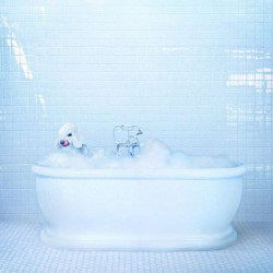 Vessel - Frankie Cosmos - Muzyka - SUB POP - 4059251214410 - 30 marca 2018