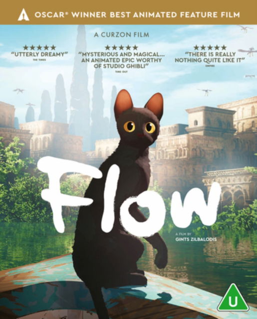 Cover for Flow BD · Flow (Blu-ray) (2025)