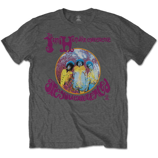 Cover for The Jimi Hendrix Experience · Jimi Hendrix Unisex T-Shirt: Are You Experienced (Grey) (T-shirt) [size S] [Grey - Unisex edition] (2020)