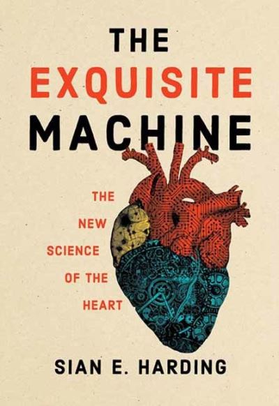 Cover for Sian E. Harding · The Exquisite Machine: The New Science of the Heart (Paperback Book) (2024)