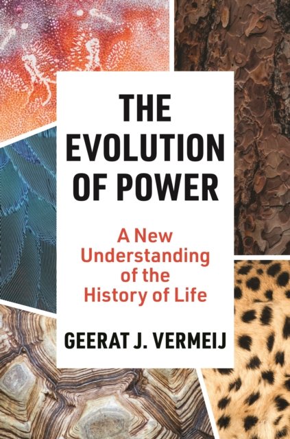 Cover for Geerat Vermeij · The Evolution of Power: A New Understanding of the History of Life (Innbunden bok) (2023)