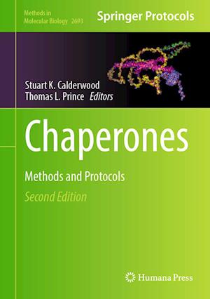 Cover for Stuart Calderwood · Chaperones (Book) (2023)