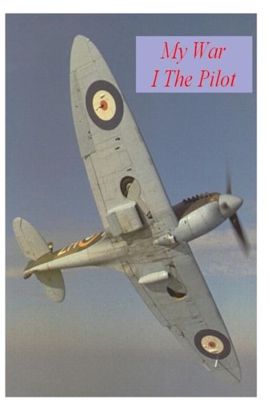 My War: the Pilot - Norman Friedgut - Kirjat - CreateSpace Independent Publishing Platf - 9781438263410 - lauantai 5. tammikuuta 2008