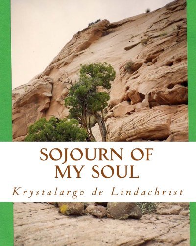 Ms. Krystalargo De Lindachrist · Sojourn of My Soul: a Solo Vision Quest (Paperback Book) (2013)