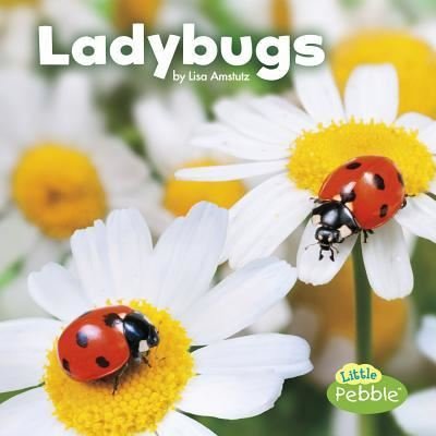 Cover for Lisa J. Amstutz · Ladybugs (Book) (2016)