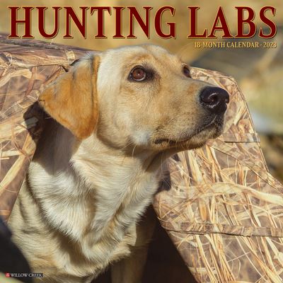 Cover for Willow Creek Press · Hunting Labs 2023 Wall Calendar (Book) (2022)