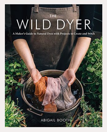 Cover for Abigail Booth · Wild Dyer (Bok) (2019)