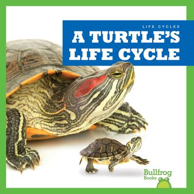 Turtle's Life Cycle - Rice - Muu - Jump! Incorporated - 9781636908410 - maanantai 1. elokuuta 2022