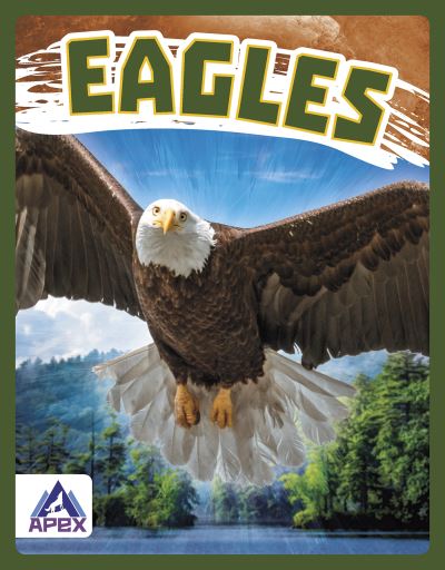 Eagles - Birds of Prey - Golriz Golkar - Books - North Star Editions - 9781637381410 - 2022