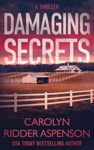 Cover for Carolyn Ridder Aspenson · Damaging Secrets (Paperback Book) (2021)