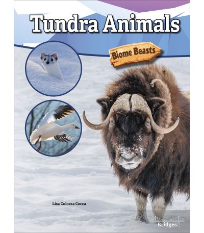 Cover for Lisa Colozza Cocca · Tundra Animals (Paperback Book) (2019)