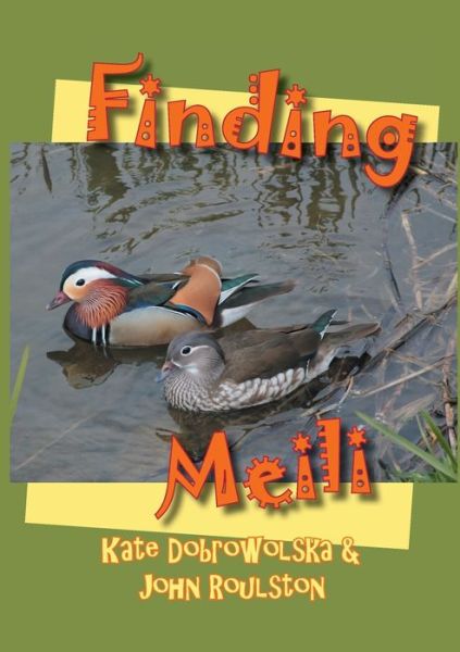 Finding Meili - Kate Dobrowolska - Books - Paragon Publishing - 9781782227410 - April 1, 2020