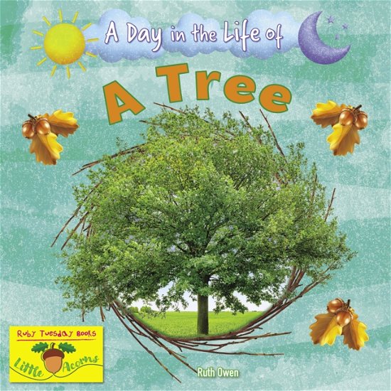 A Tree - A Day in the Life Of - Ruth Owen - Books - Ruby Tuesday Books Ltd - 9781788564410 - April 25, 2024