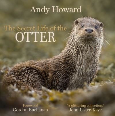 Cover for Andy Howard · The Secret Life of the Otter (Hardcover Book) (2021)