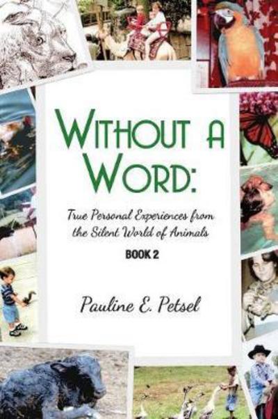 Cover for Pauline E Petsel · Without a Word: True Personal Experience (Paperback Book) (2017)