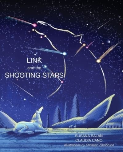 Cover for Susana Balan · Link and the Shooting Stars (Book) (2022)