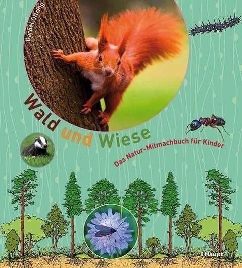 Cover for Oftring · Wald und Wiese (Book)