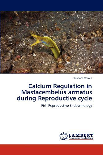 Calcium Regulation in Mastacembelus Armatus During Reproductive Cycle: Fish Reproductive Endocrinology - Sushant Verma - Books - LAP LAMBERT Academic Publishing - 9783659002410 - April 16, 2012