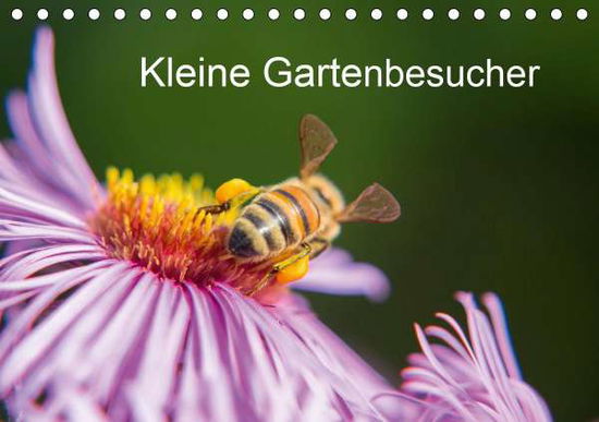 Cover for Homburger · Kleine Gartenbesucher (Tischk (Book)