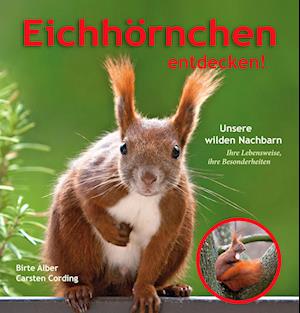 Cover for Birte Alber · Eichhörnchen entdecken! (Book) (2024)