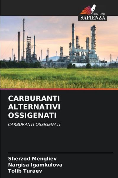 Cover for Sherzod Mengliev · Carburanti Alternativi Ossigenati (Paperback Book) (2021)