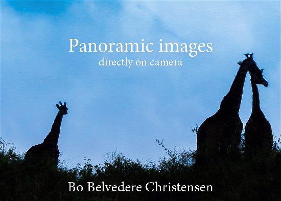 Panoramic images - Bo Belvedere Christensen; Bo Belvedere Christensen - Livres - Books on Demand - 9788743029410 - 17 février 2021